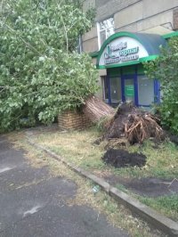 В Луганске гроза затопила улицы и ломала деревья - фото