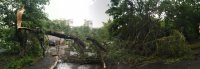 В Луганске гроза затопила улицы и ломала деревья - фото